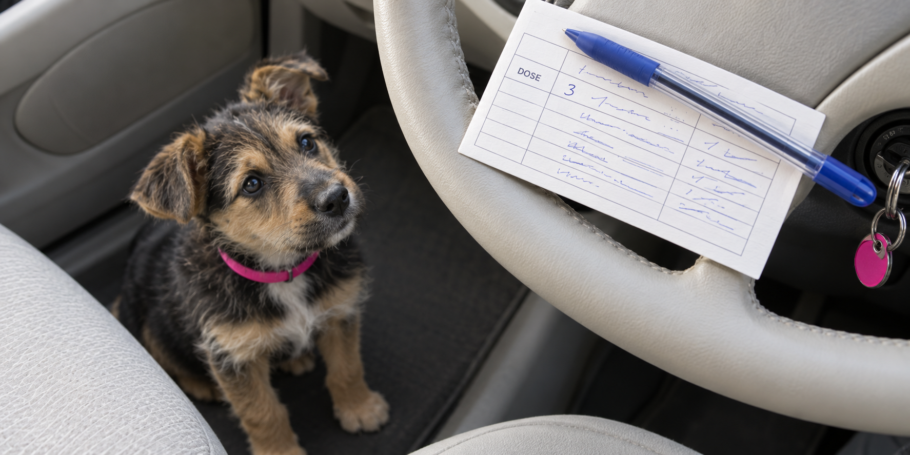 Vaccination record on a steering wheel with a pen across it, the dose number and next date filled in